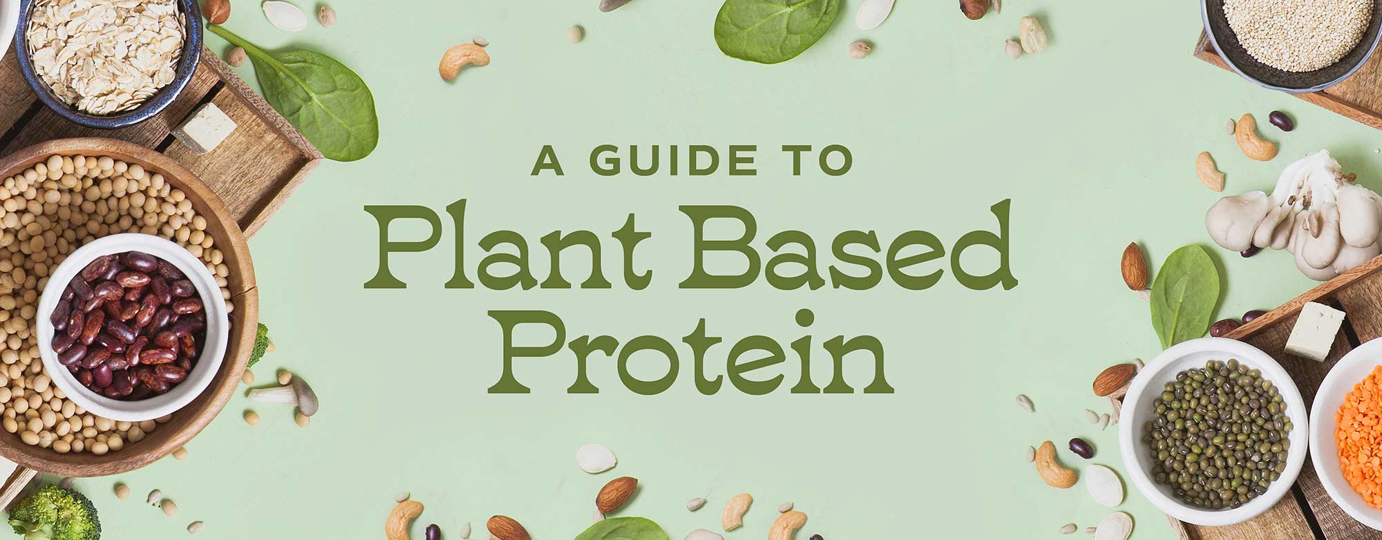Plant Based Meat Substitutes