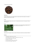110DTLCINAPL TEA LOOSE CINNAMON APPLE 1 LB. DAVIDSON'S.pdf