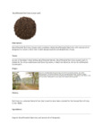 110DTLDCEARL TEA LOOSE DECAF EARL GREY 1 LB. DAVIDSON'S