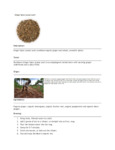 110DTLGINSPC TEA LOOSE GINGER SPICE 1 LB. DAVIDSON'S
