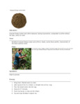 110DTLGUAYSA TEA LOOSE GUAYUSA ENERGY 1 LB. DAVIDSON'S