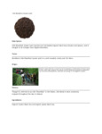 110DTLIRISHB TEA LOOSE IRISH BREAKFAST 1 LB. DAVIDSON'S.pdf 110DTLIRISHB TEA LOOSE IRISH BREAKFAST 1 LB. DAVIDSON'S.pdf