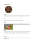 110DTLKUKCHA TEA LOOSE KUKICHA 1 LB. DAVIDSON'S.pdf