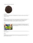 110DTLLAPSOU TEA LOOSE LAPSANG SOUCHONG BLACK 1 LB. DAVIDSON'S.pdf