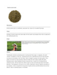 110DTLSENCHA TEA LOOSE SENCHA 1 LB. DAVIDSON'S.pdf