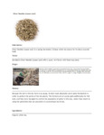 110DTLSILNED TEA LOOSE SILVER NEEDLES 1 LB. DAVIDSON'S.pdf 110DTLSILNED TEA LOOSE SILVER NEEDLES 1 LB. DAVIDSON'S.pdf