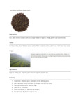 110DTLSNMNST TEA LOOSE SUN, MOON AND STARS 1 LB. DAVIDSON'S.pdf