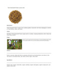 110DTLTCMFLW TEA LOOSE TULSI CHAMOMILE FLOWER 1 LB. DAVIDSON'S.pdf