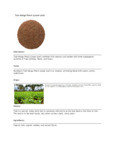 110DTLTMNPCH TEA LOOSE TULSI MANGO PEACH 1 LB. DAVIDSON'S.pdf