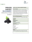 115EHBLKBRDR_Blackberry Spec Sheet.pdf