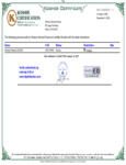 19020_-_kosher_cert.pdf 19020_-_kosher_cert.pdf