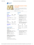 Lemon Mascarpone Creme Cupcakes Recipe