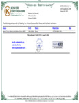 art67-ns-kosher_certificate.pdf