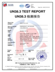 BLEM Series Test Summary