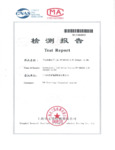 Zebra bt-000262-50-un383 Test Report