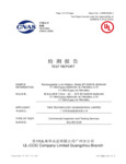 Zebra bt-000318-un38-3 Test Report