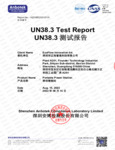 RIVER 2 Pro UN38.3_Battery Test Summary