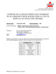 Bissell Test Summary