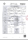 Damina_Battery Test Summary 1