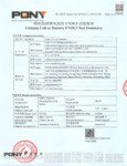 XPH30R 30318 UN38.3 Testing Summary