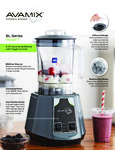BL Series Model T - Sell Sheet