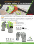 00020-CALIBER-flyer1