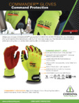00164-Commander-Flyer_lores1-1