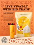Big Train Vivaz Brochure