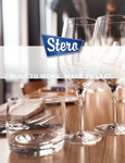 28CSD31_Stero_2025BuyersGuide_Catalog_v6.pdf