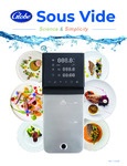 377GSV18_Brochure