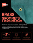 Tarpex 220 GSM Brochure