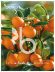 877BOI300525_Brochure.pdf