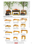 brooklynrisers_brochure
