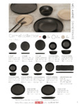 carmel brochure
