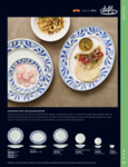 viva brochure