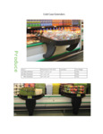 DELI-EXT2818 brochure
