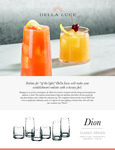 Dion Sellsheet