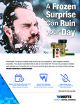 Flyer - Freeze Detection