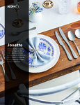 Josette Sell Sheet