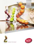 Brochure Brochure