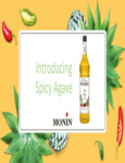 new flavors brochure new flavors brochure