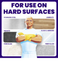 Mr Clean_All Surface_Brochure Mr Clean_All Surface_Brochure