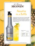 Monin Pineapple Brochure