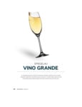 vino grande brochure vino grande brochure
