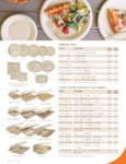 521PLU10OLFP brochure