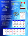 Wesco Stainless Steel Rotary Pump Brochure Wesco Stainless Steel Rotary Pump Brochure