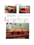 ZLS-BL10 brochure