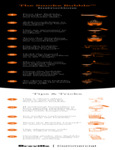 Bubble_Kit_Instructions_Tips_Single_Column Bubble_Kit_Instructions_Tips_Single_Column