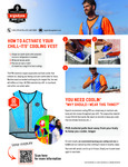 chill-its-6667-instructions-flyer