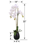 20F17C Measure 20F17C Measure